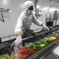 O2O平台净菜生产销售融资2000万